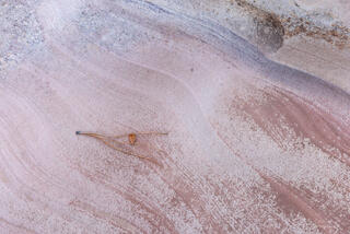 colourful and interesting patterns on the sandstone of the Clear Creek area in Zion National Park, Utah