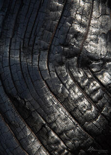 Charred