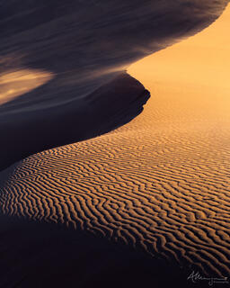 The contours of a sand dune in bright light in Sossusvlei, Namibia