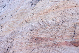 Morning light highlighting cracks in Navajo sandstone in the Clear Creek area of Zion National Park, Utah