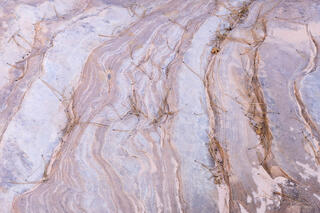 Ponderosa pine needles arranged on colourful and interesting patterns on the sandstone of the Clear Creek area in Zion National Park, Utah