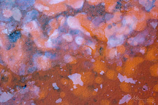 Iridescent oils on the water surface of a rusty water-filled planter
