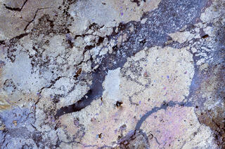 metallic golden coloured bio oils lying on the surface of a pool of water in Zion National Park, Utah