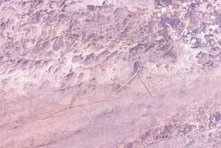 Colourful and interesting erosion patterns on the sandstone of the Clear Creek area in Zion National Park, Utah