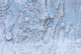 Colourful and interesting erosion patterns on the sandstone of the Clear Creek area in Zion National Park, Utah