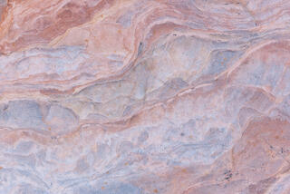 Ponderosa pine needles arranged on colourful and interesting patterns on the sandstone of the Clear Creek area in Zion National Park, Utah