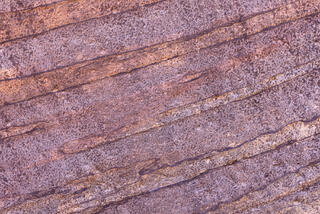 Colourful and interesting erosion patterns on the sandstone of the Clear Creek area in Zion National Park, Utah