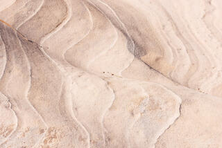folds and curves in the sandstone along a wash in the Clear Creek area of Zion National Park, Utah
