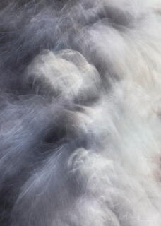 Intentional camera movement (ICM) image of sagebrush shapes in Pine Creek area of Zion National Park, Utah