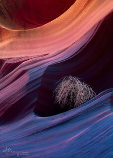 Tumbleweed sitting in Antelope Canyon, Arizona