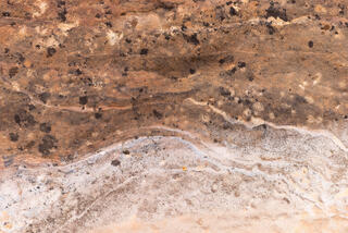 Colourful and interesting erosion patterns on the sandstone of the Clear Creek area in Zion National Park, Utah