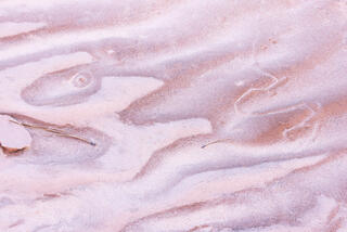 Colourful and interesting erosion patterns on the sandstone of the Clear Creek area in Zion National Park, Utah