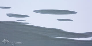 Snow on thick ice on a lake in the Canadian Rockies creates an interesting pattern reminiscent of the yin yang symbol.  