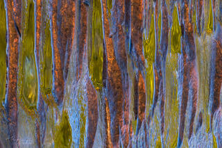 reflections on wet rock at lake edge