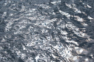 hydrargyrum