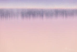 pink lake reflections