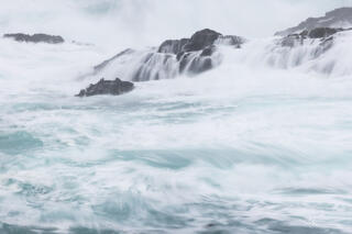 Whipped