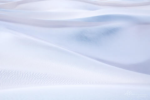 The Desert