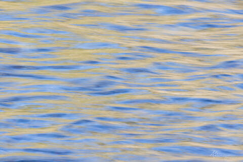 Fragmentary Blue