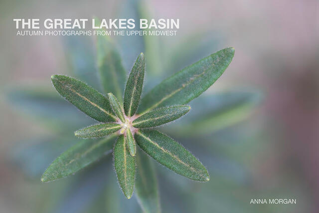The Great Lakes Basin (2024)