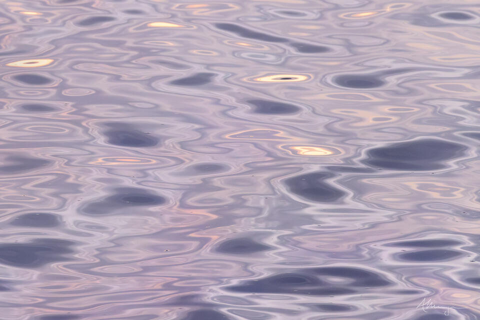 Lilac Swirls print
