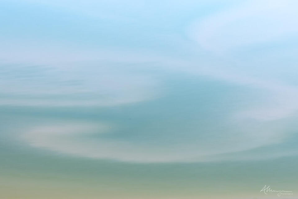 A Sea Of Dreams print