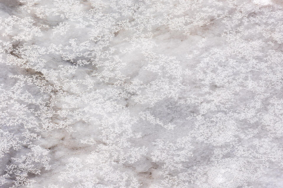 Across The Wintertime print