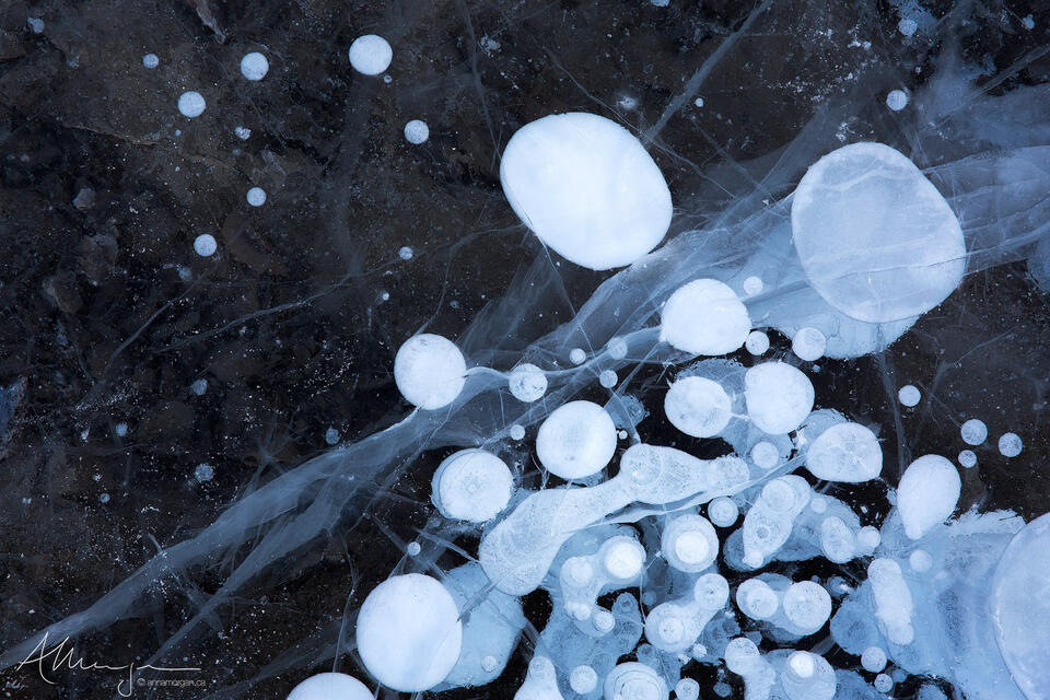Cosmological print