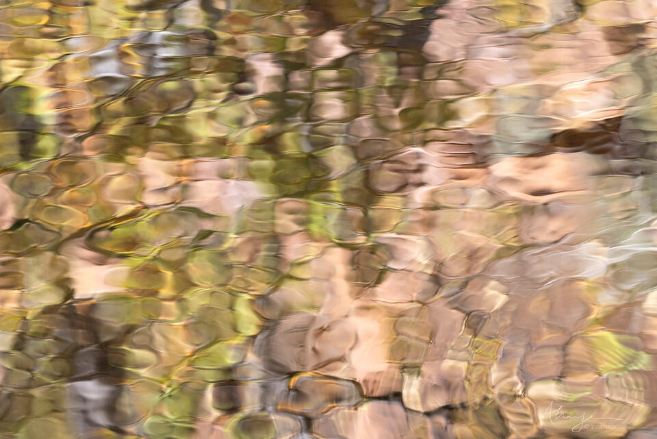 Dissolve print
