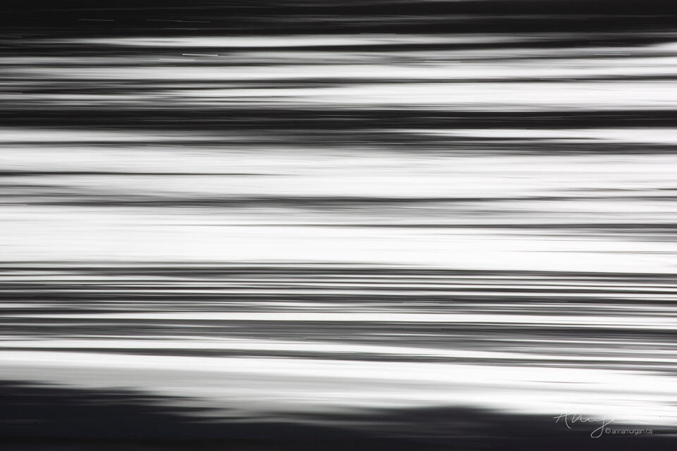 Distillation print