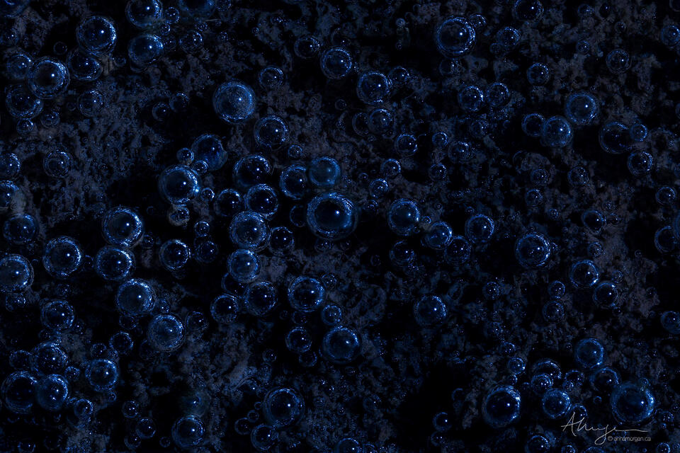 Effervescence print