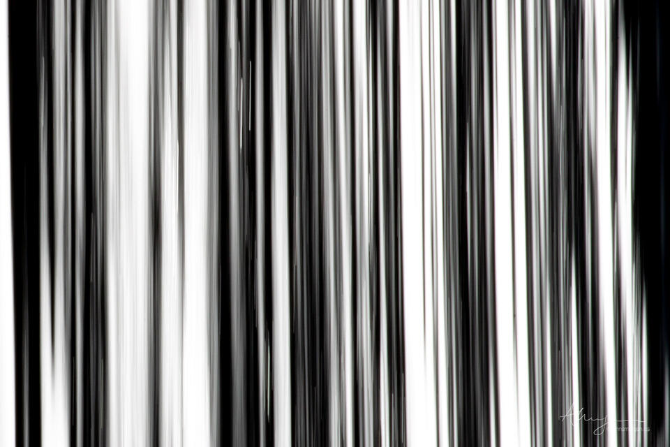 Expiration Date print