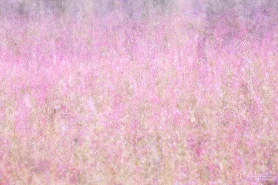 From the Embers print