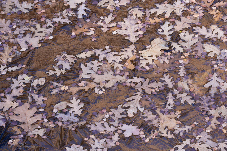 Glass Floor print
