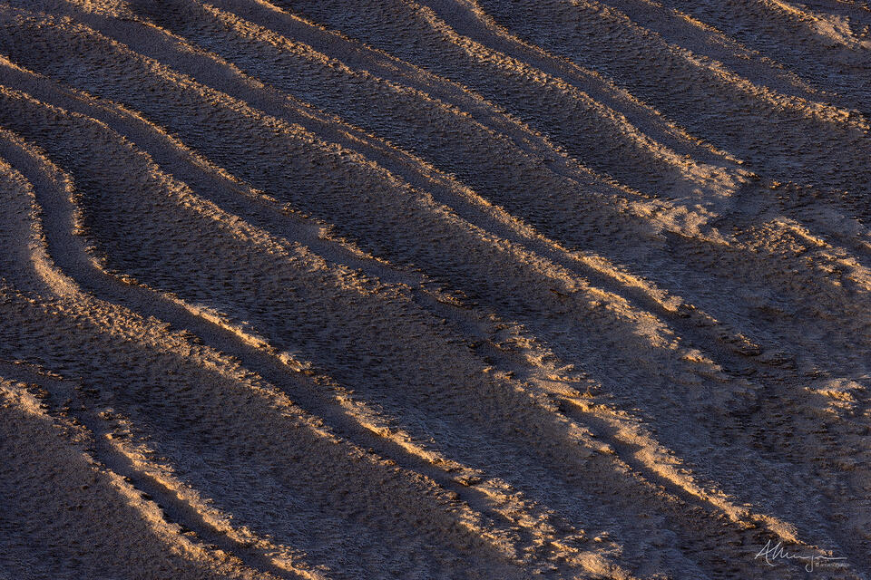 How, On Earth print