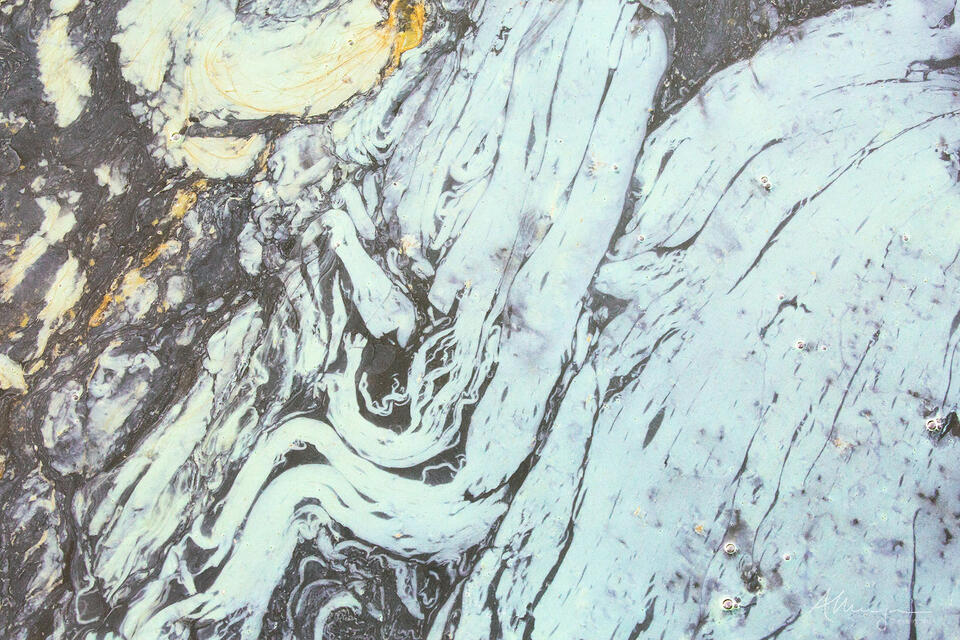 In the Beginning print