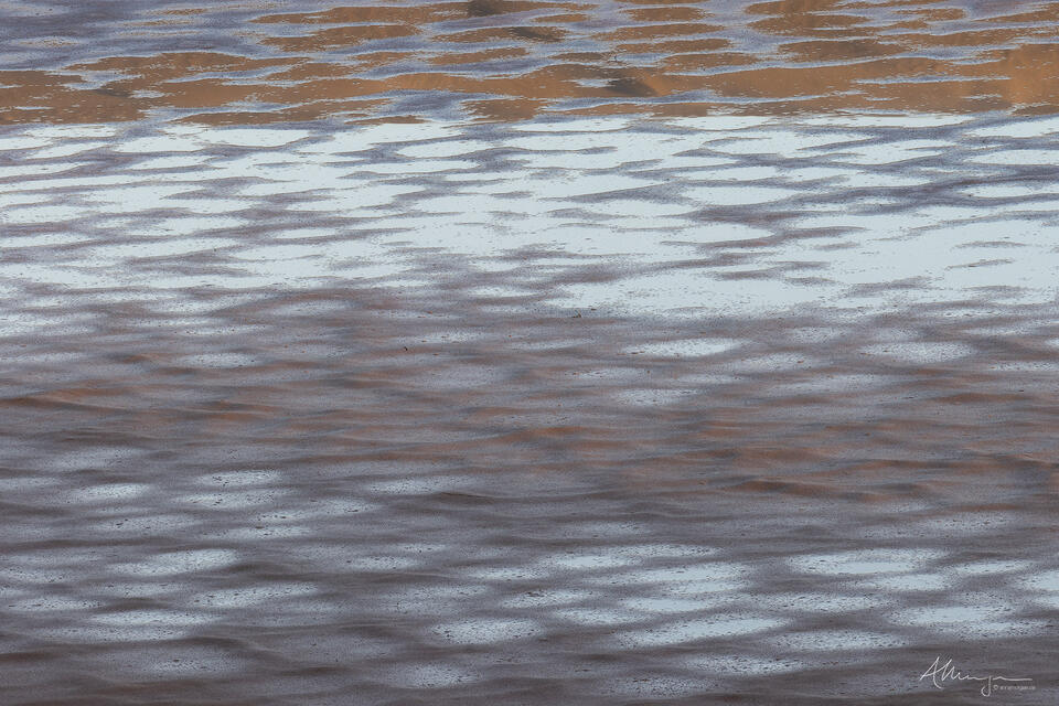 It Needs No Reason print