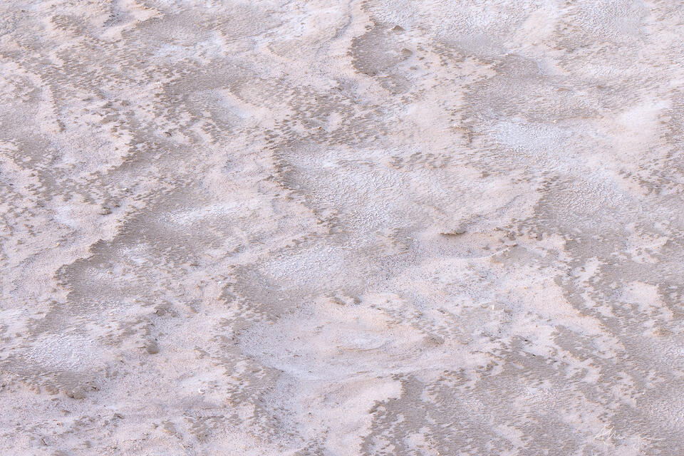 Mimicry print