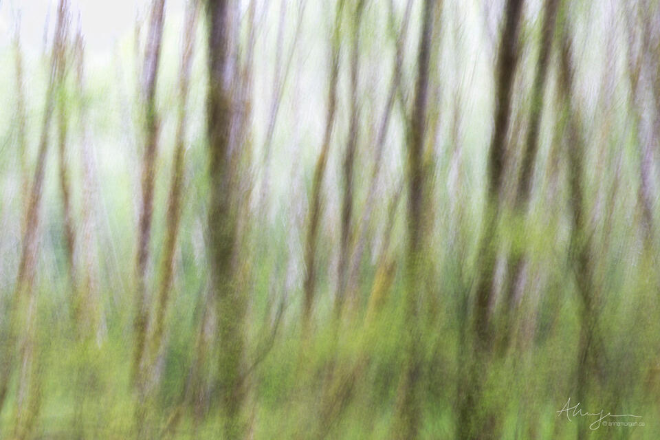 Reaching Through print