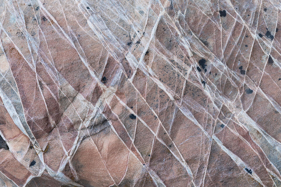 Reticulate print