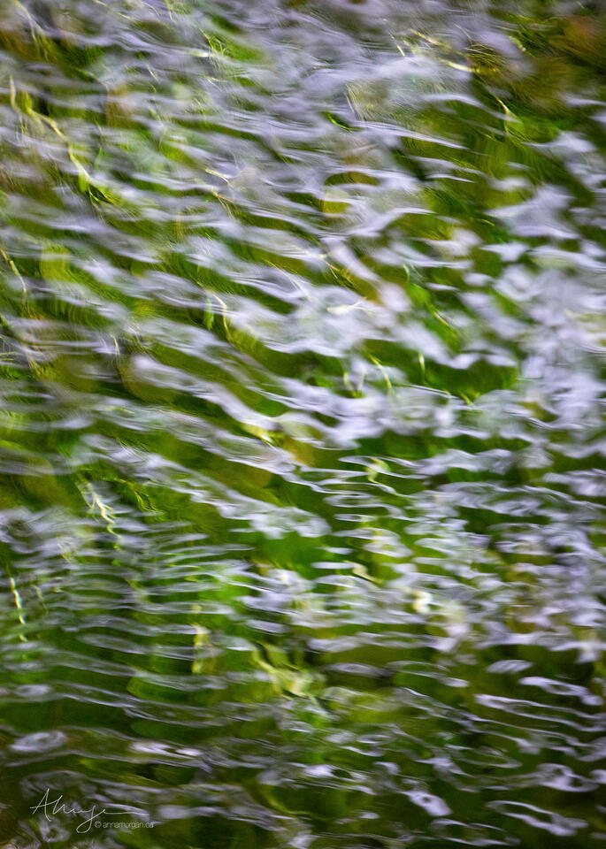 Ripples on Green print