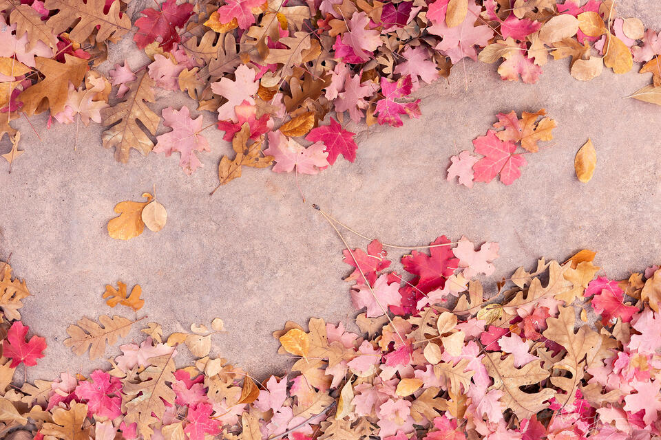 Rite of Passage print