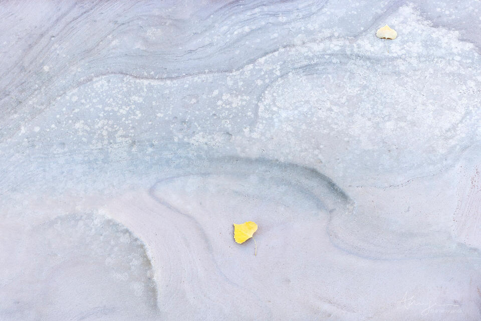 Sandstone Eddy print