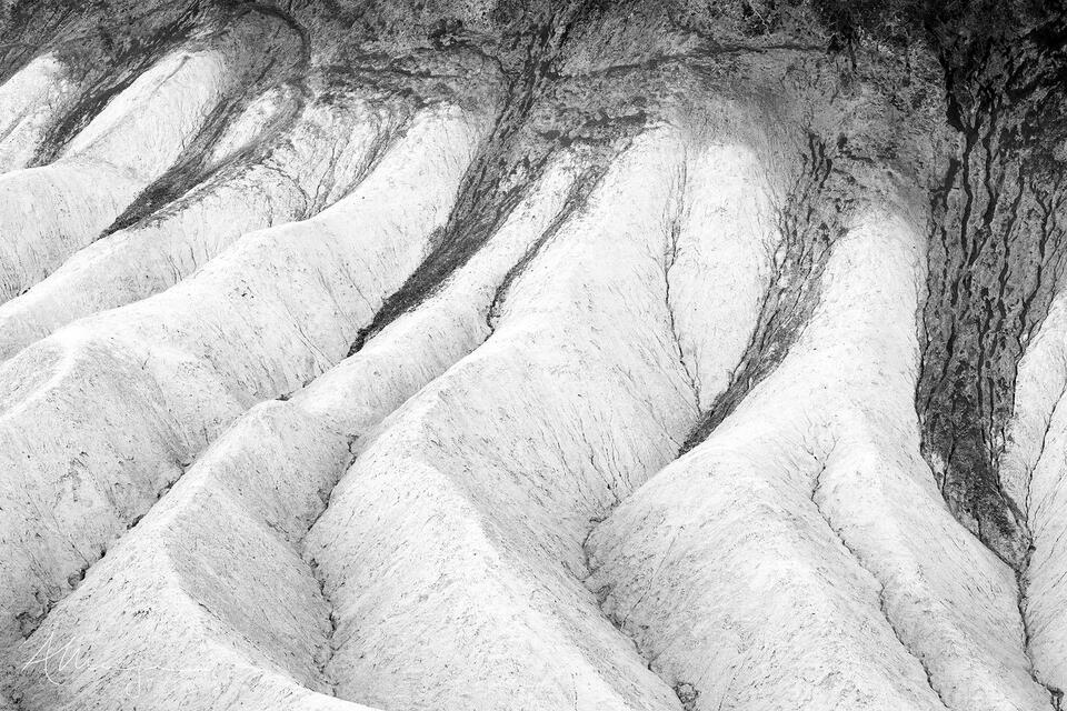 Sedimentary print