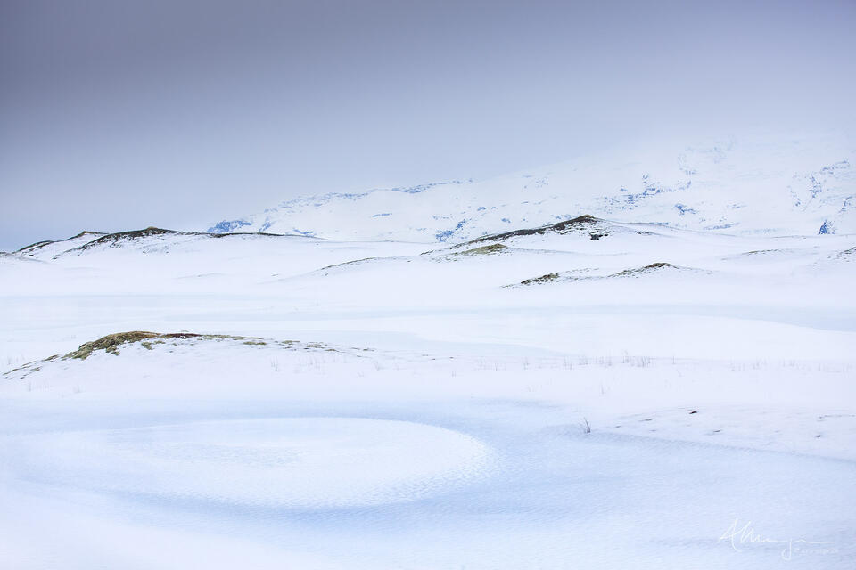 Shades of Snow print