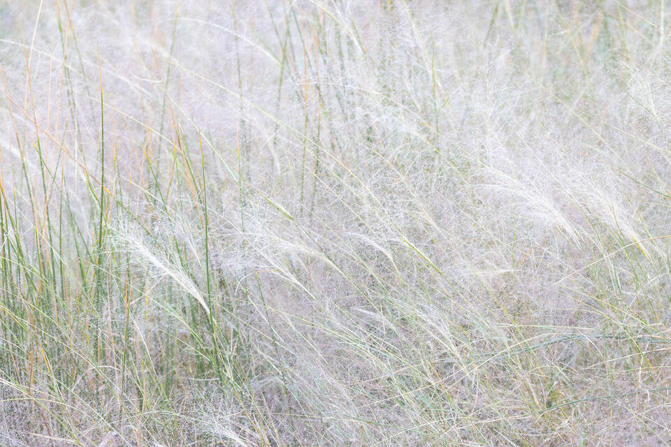 Strength of Fragility print