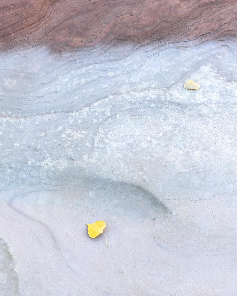 Tandem print