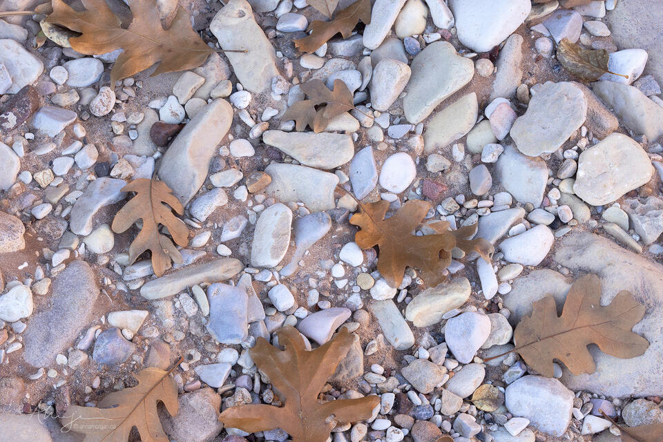 Terrazzo print