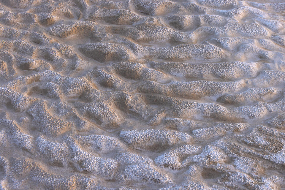 The Only Way print