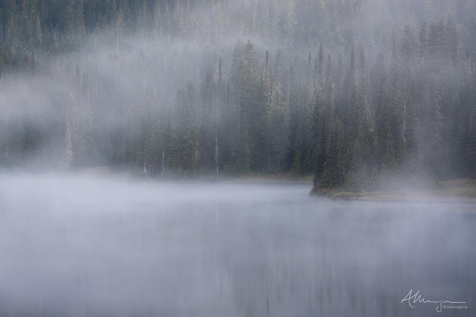 The Embrace print